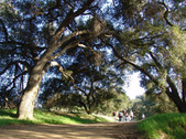 Enlarge photo 205