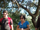Enlarge photo 207