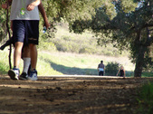 Enlarge photo 208