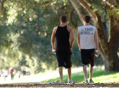 Enlarge photo 211