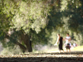 Enlarge photo 212