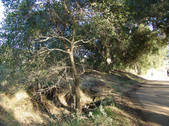 Enlarge photo 213