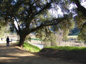 Enlarge photo 214