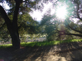 Enlarge photo 215