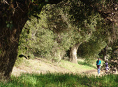 Enlarge photo 217
