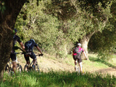 Enlarge photo 218