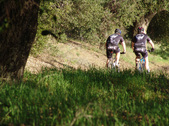 Enlarge photo 219