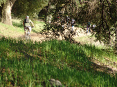 Enlarge photo 220