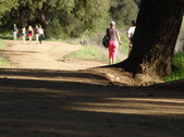 Enlarge photo 223