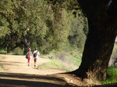 Enlarge photo 224