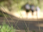 Enlarge photo 228