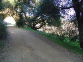 Enlarge photo 229