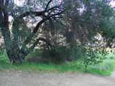 Enlarge photo 230