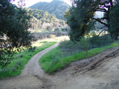 Enlarge photo 231