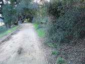 Enlarge photo 232