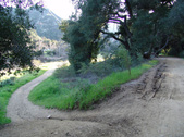Enlarge photo 233