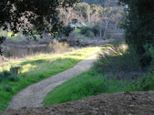 Enlarge photo 234