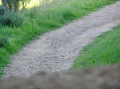 Enlarge photo 235