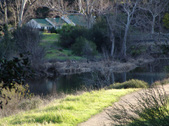 Enlarge photo 236