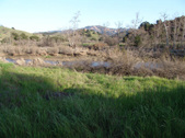 Enlarge photo 237