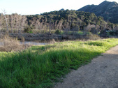 Enlarge photo 238