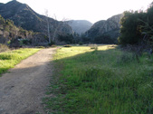 Enlarge photo 239