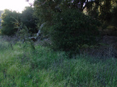 Enlarge photo 240