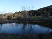 Enlarge photo 241