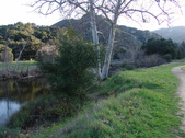 Enlarge photo 242