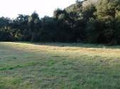 Enlarge photo 244
