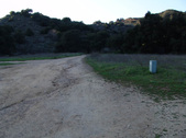 Enlarge photo 245