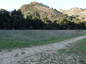Enlarge photo 246