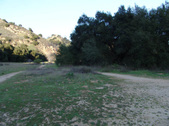 Enlarge photo 247