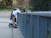 Enlarge photo 250