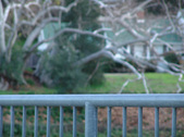 Enlarge photo 252