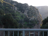 Enlarge photo 254