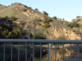 Enlarge photo 255
