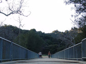 Enlarge photo 257