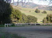 Enlarge photo 260