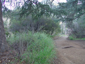 Enlarge photo 261