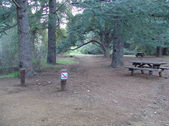 Enlarge photo 262