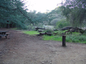 Enlarge photo 263