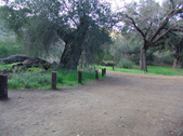 Enlarge photo 264