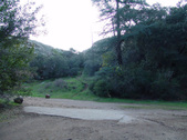 Enlarge photo 265