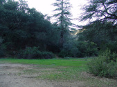 Enlarge photo 266