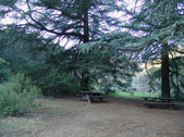 Enlarge photo 267