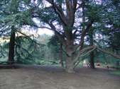 Enlarge photo 268