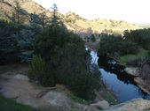 Enlarge photo 269