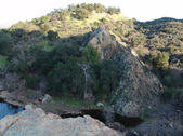 Enlarge photo 270