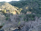 Enlarge photo 271
